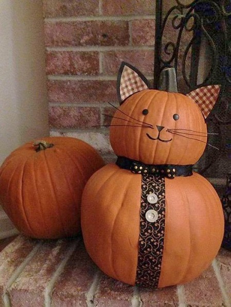 kitty pumpkin cat.jpg